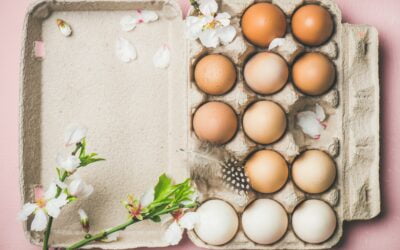 Como va a Afectar la Producción de Huevos a la Economia